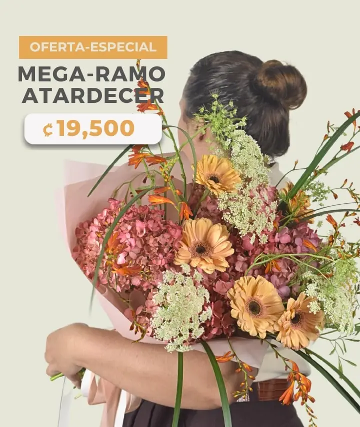 mega-ramo-atardecer-florlabcr