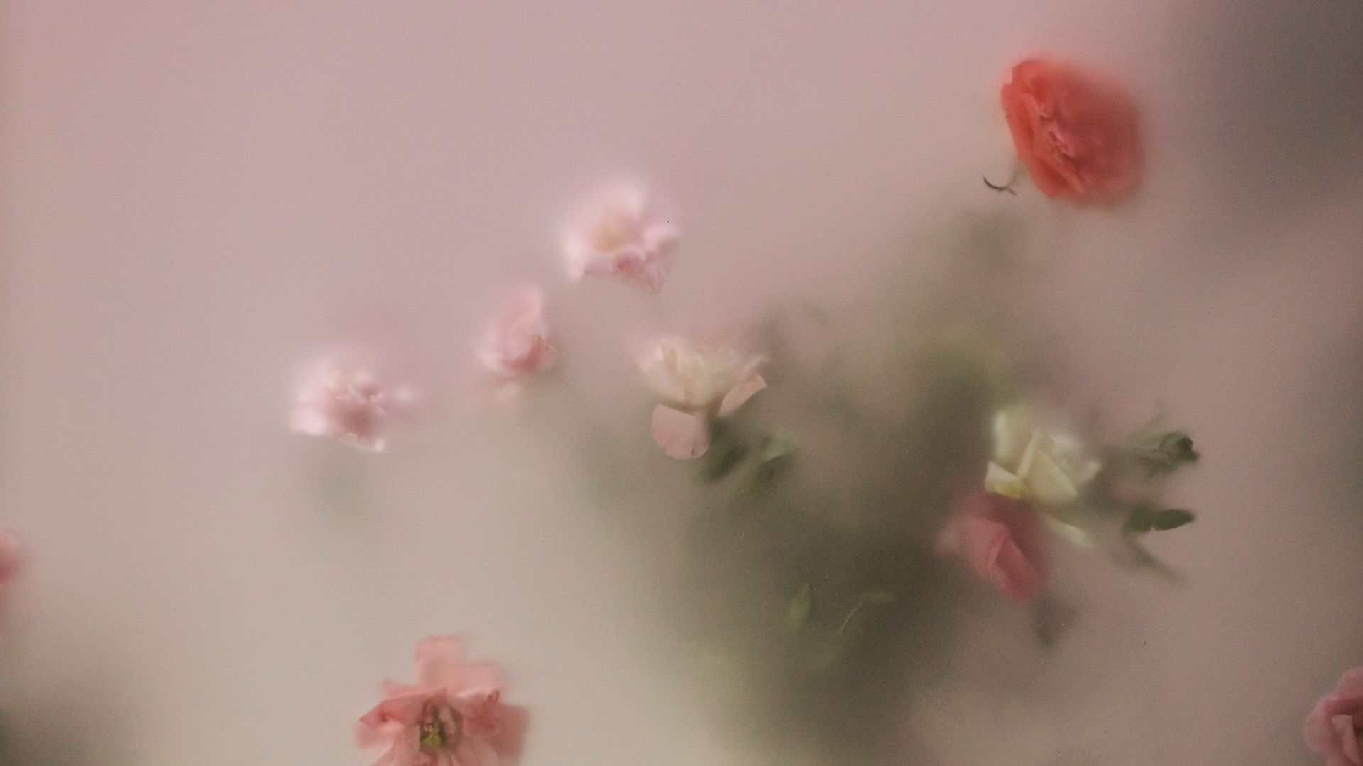 arreglos florales
