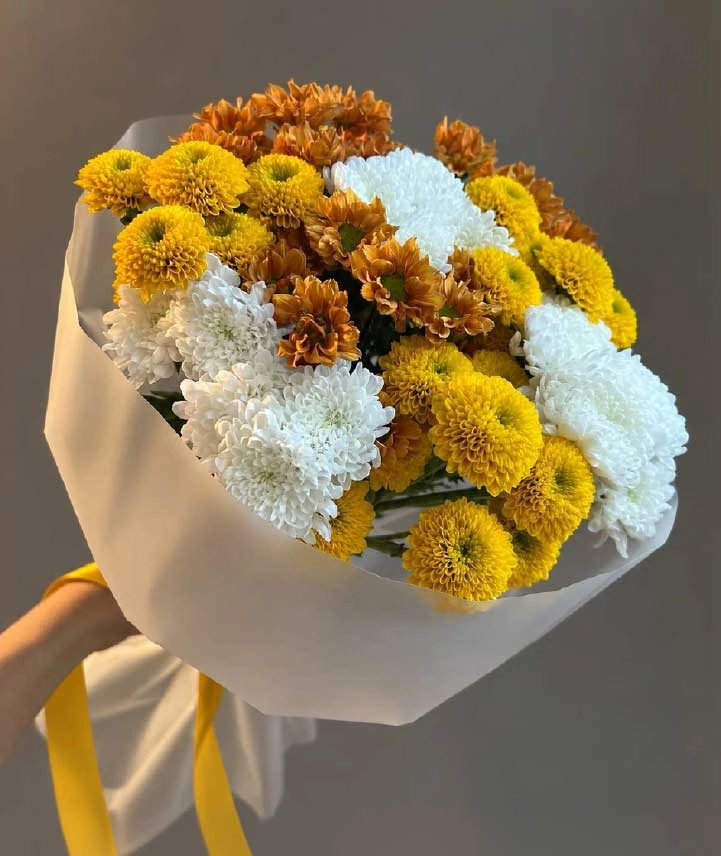 ramo-sol-dorado-de-crisantemos Ramo Sol Dorado con crisantemos amarillos, blancos y terracota en envoltura blanca con lazo amarillo.